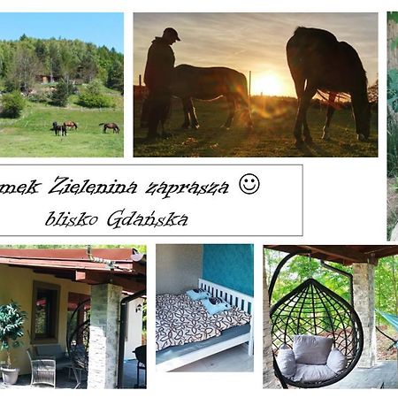 Domek Zielenina Mierzeszyn Extérieur photo