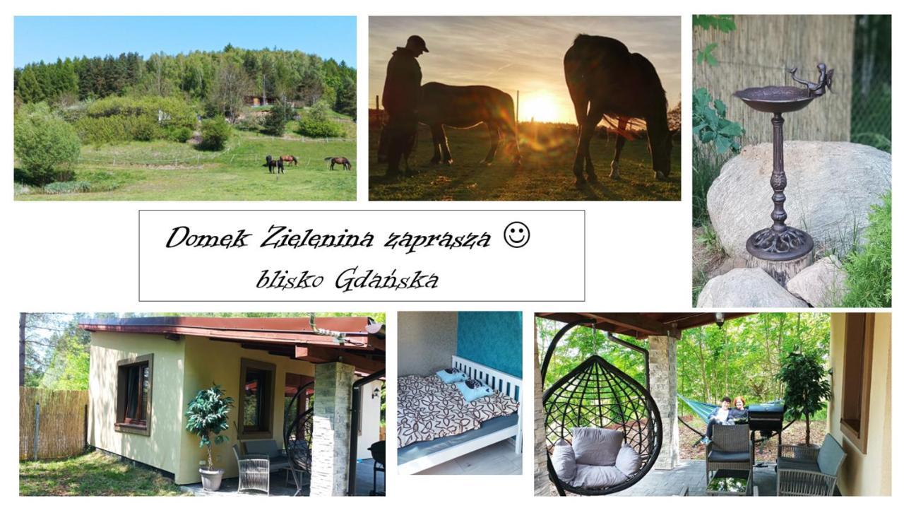 Domek Zielenina Mierzeszyn Extérieur photo