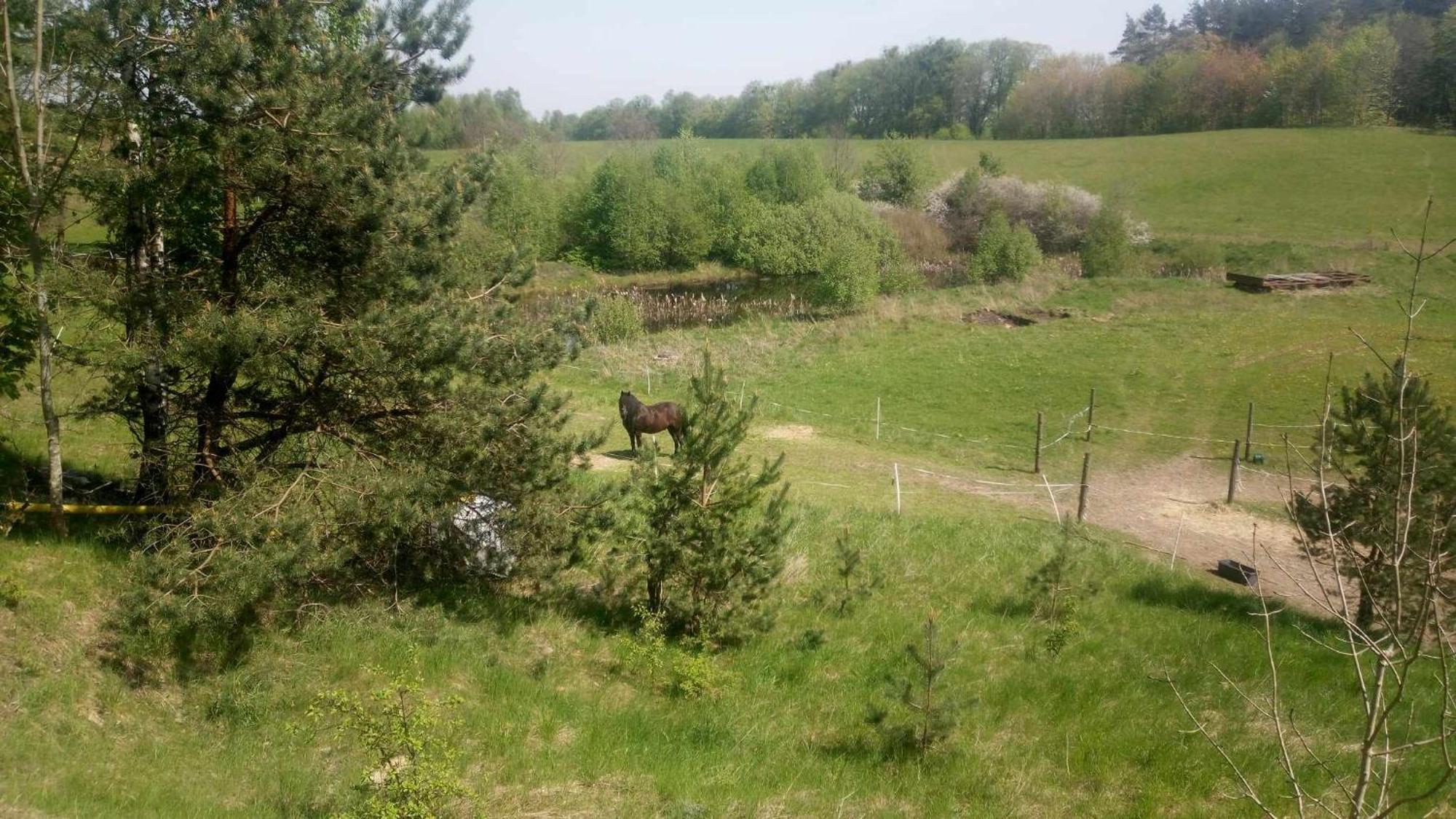 Domek Zielenina Mierzeszyn Extérieur photo